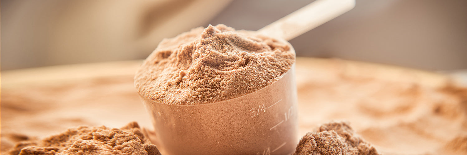 1500x500_veganes Whey