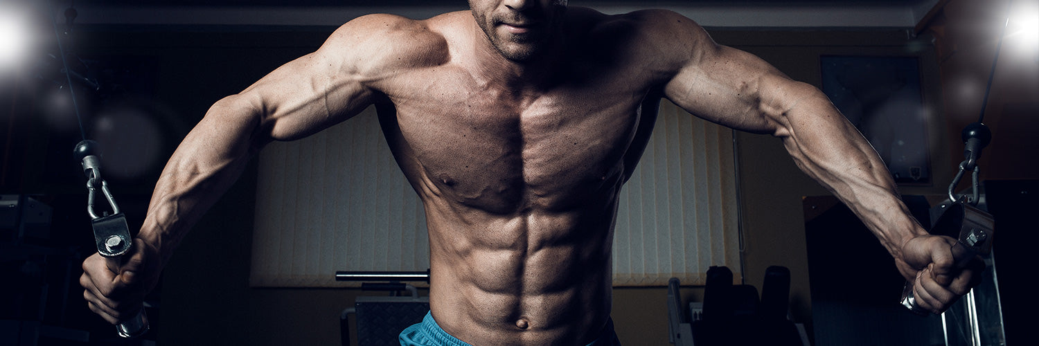 1500x500_Laat-je-triceps-groeien