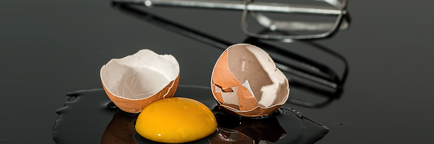 1500x500_Ernährungstipps