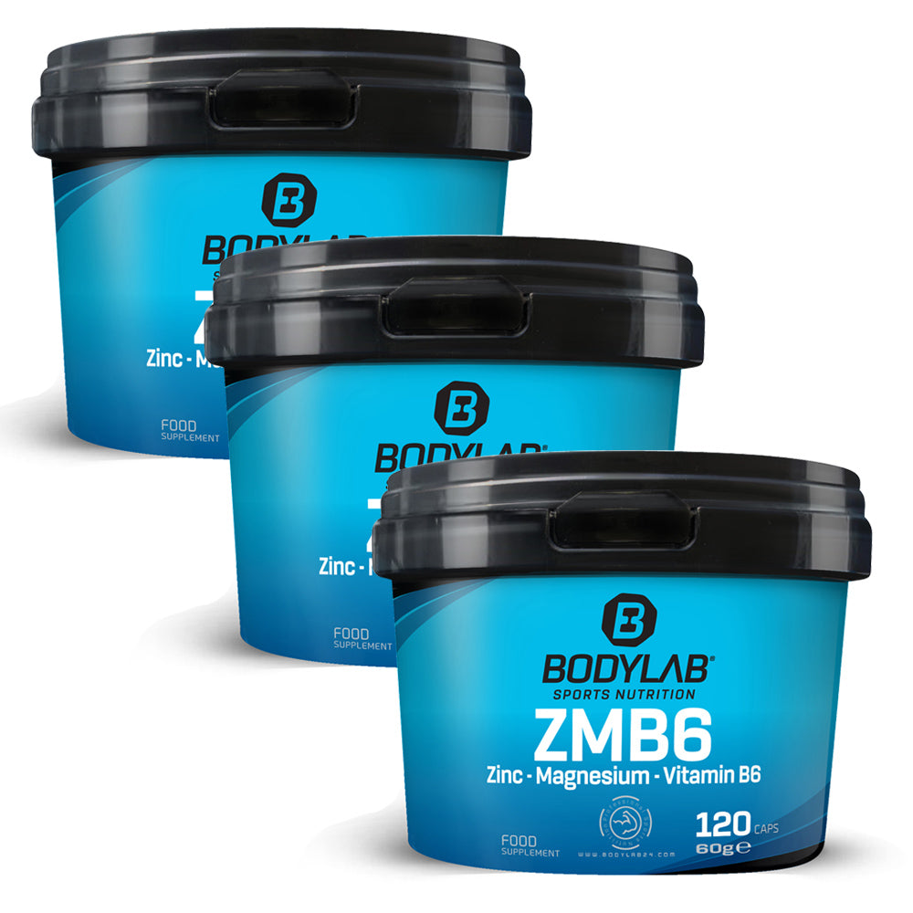 3 x ZMB6 - Zinc - Magnesium - Vitamin B6 (elk 120 capsules)