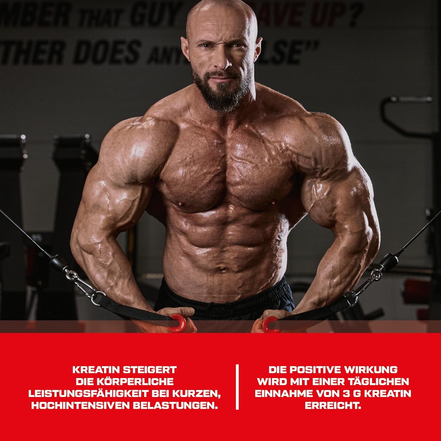 #locale_de#locale_nl