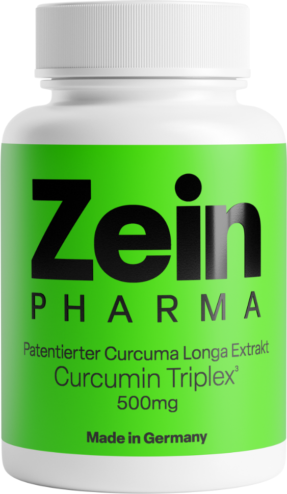Curcumine-Triplex³ 500mg (90 capsules)