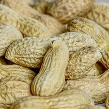 Erdnüsse - 5 Fakten