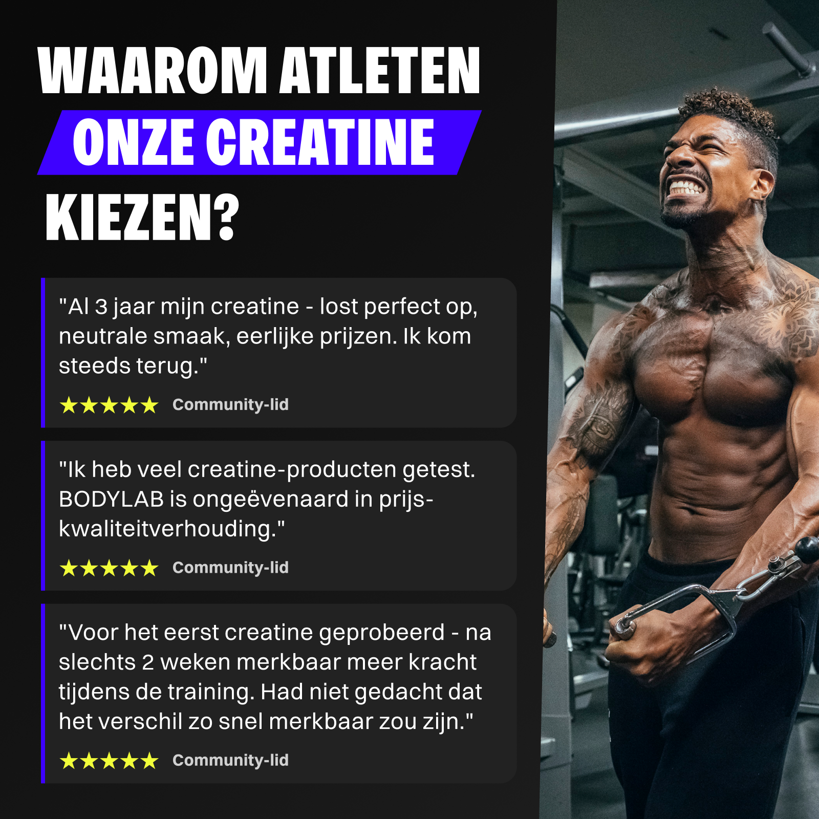 2 x Creatine Powder (500g)