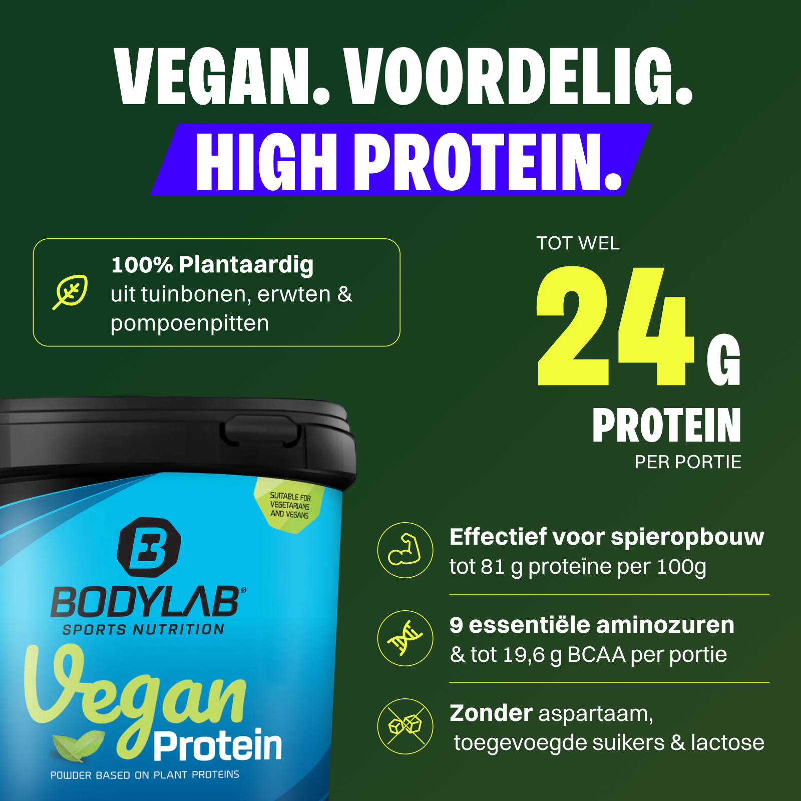 Vegan Protein (1000g)
