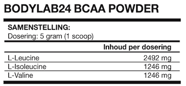 BCAA Powder Bodylab24