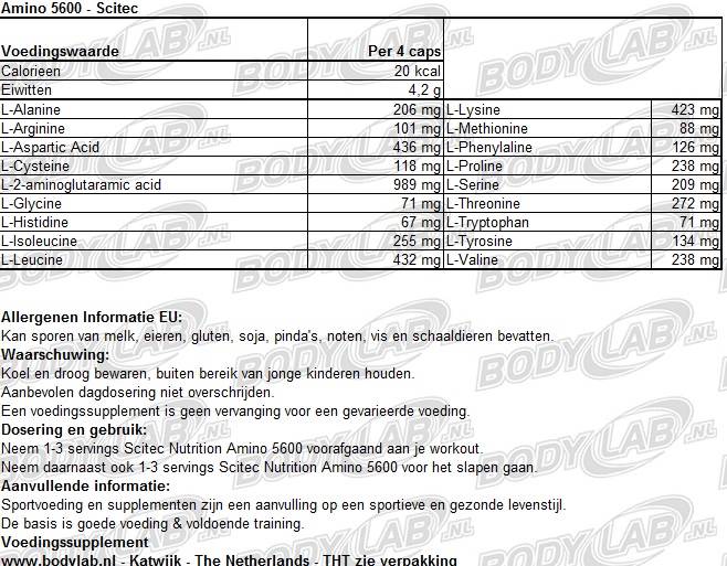   Amino 5600 Scitec Nutrition