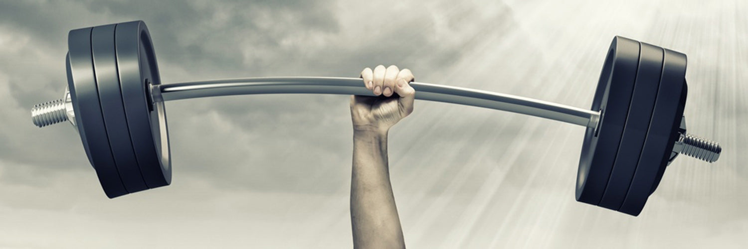 1500x500_Inspirationen für Dein Workout