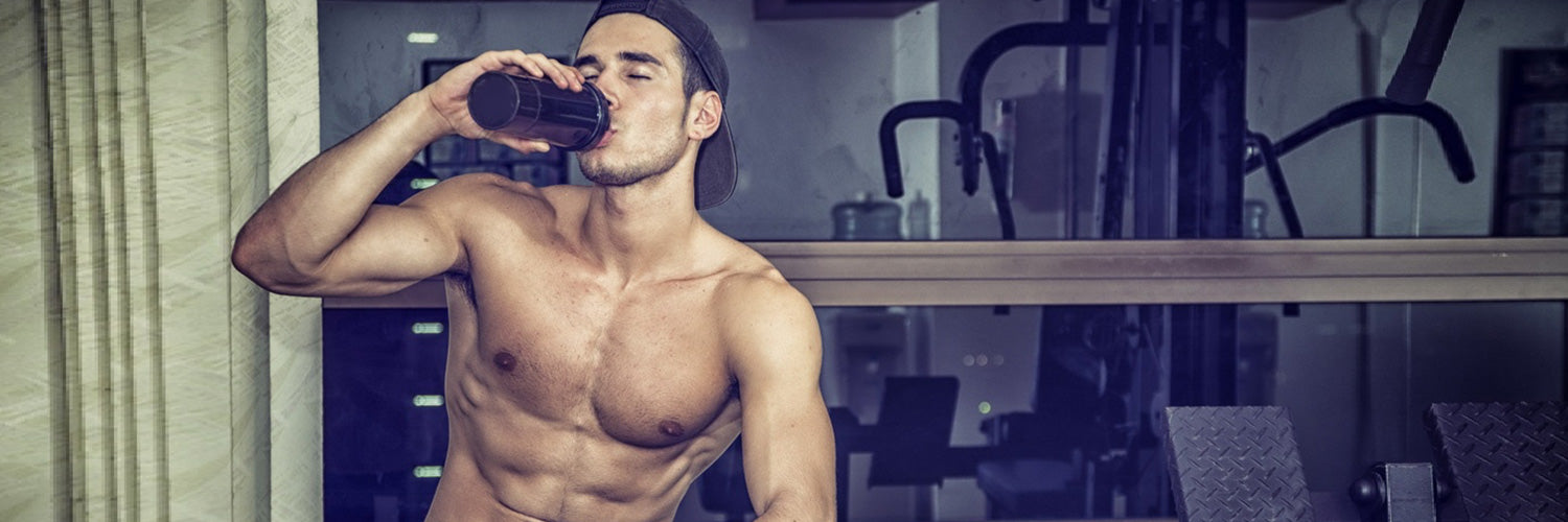 1500x500_Laktosefreie-Eiweißshakes