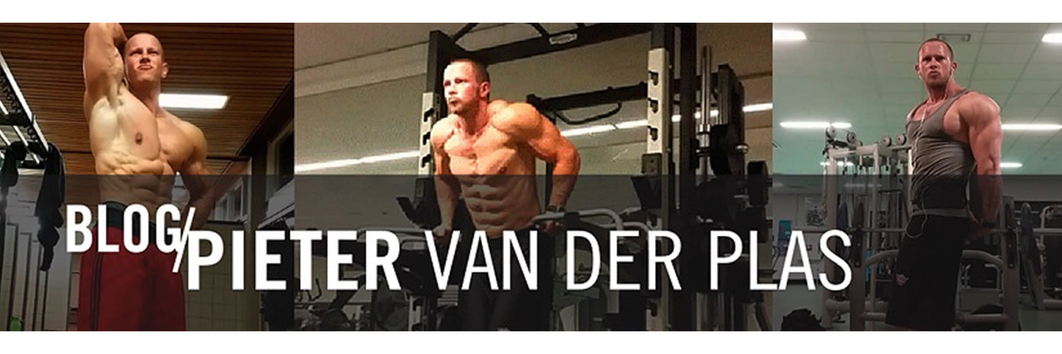 1500x500_Pieter van der Plas