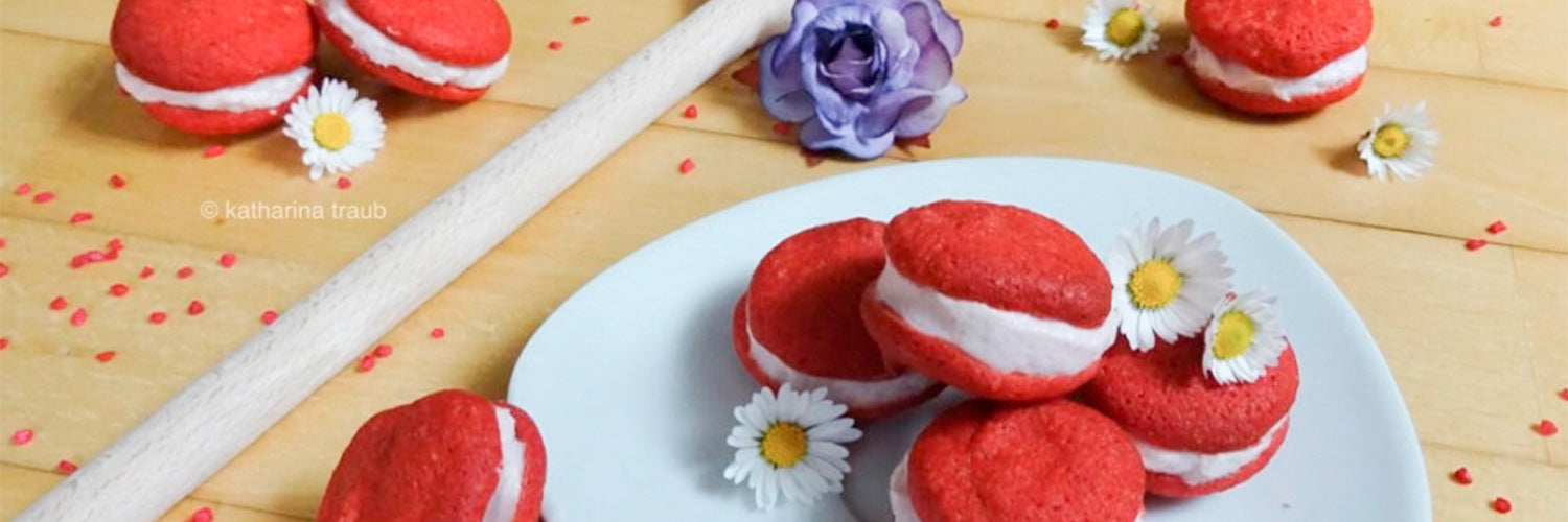 1500x500_Protein-Macarons