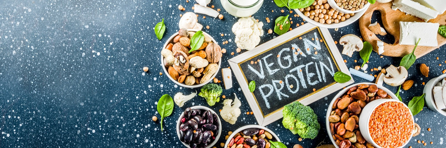 Vegan Protein Desktop 1500x500
