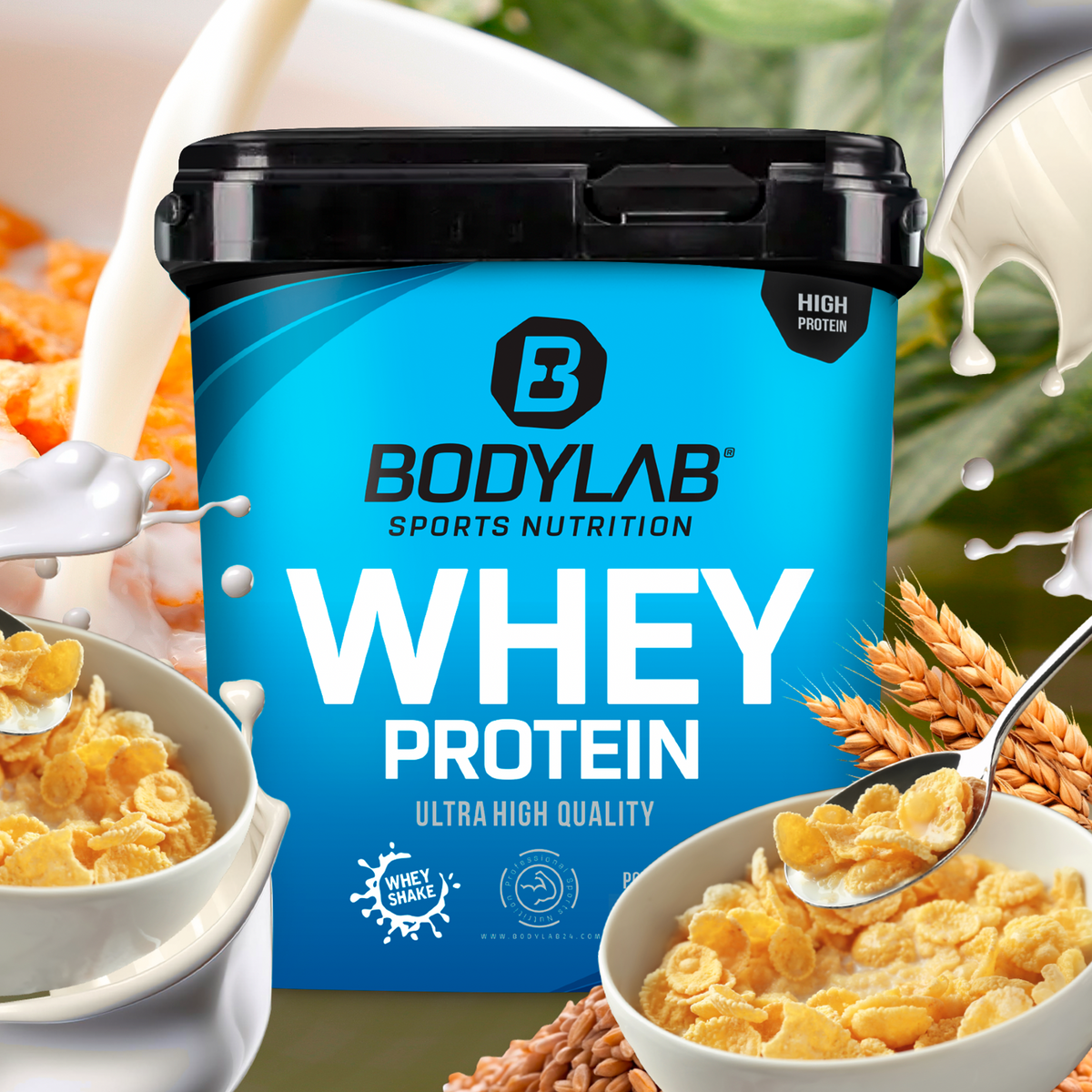 Whey Protein - SALE (2000g)
