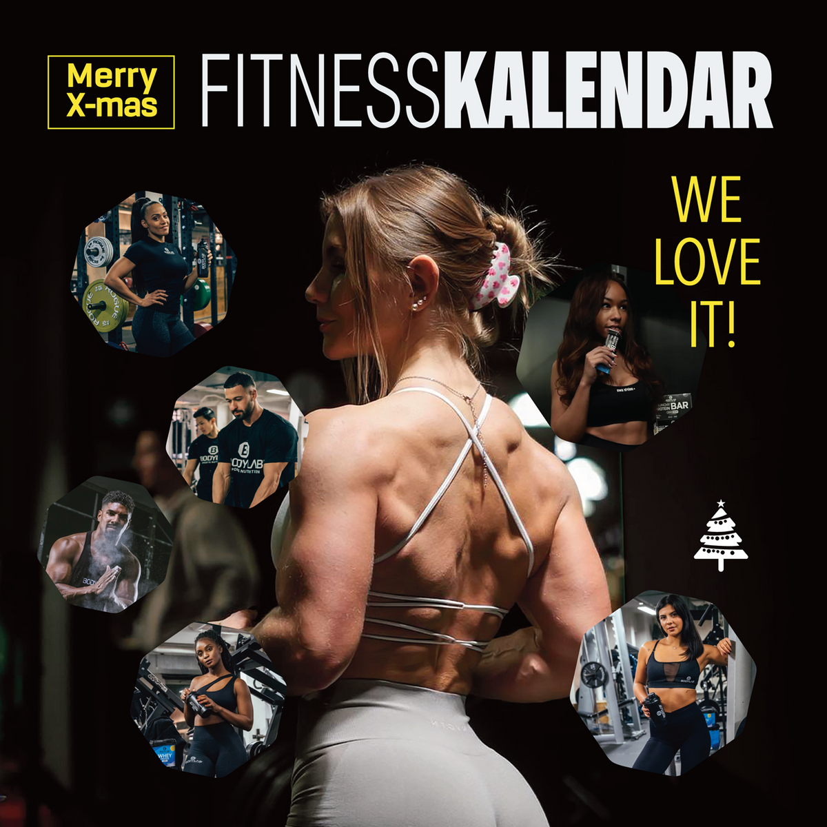 Riegel Adventskalender + GRATIS 500 g Creatine Powder