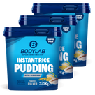 3 x Instant Rice Pudding (elk 3000g)
