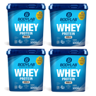 4x Whey Protein (4x1000g)