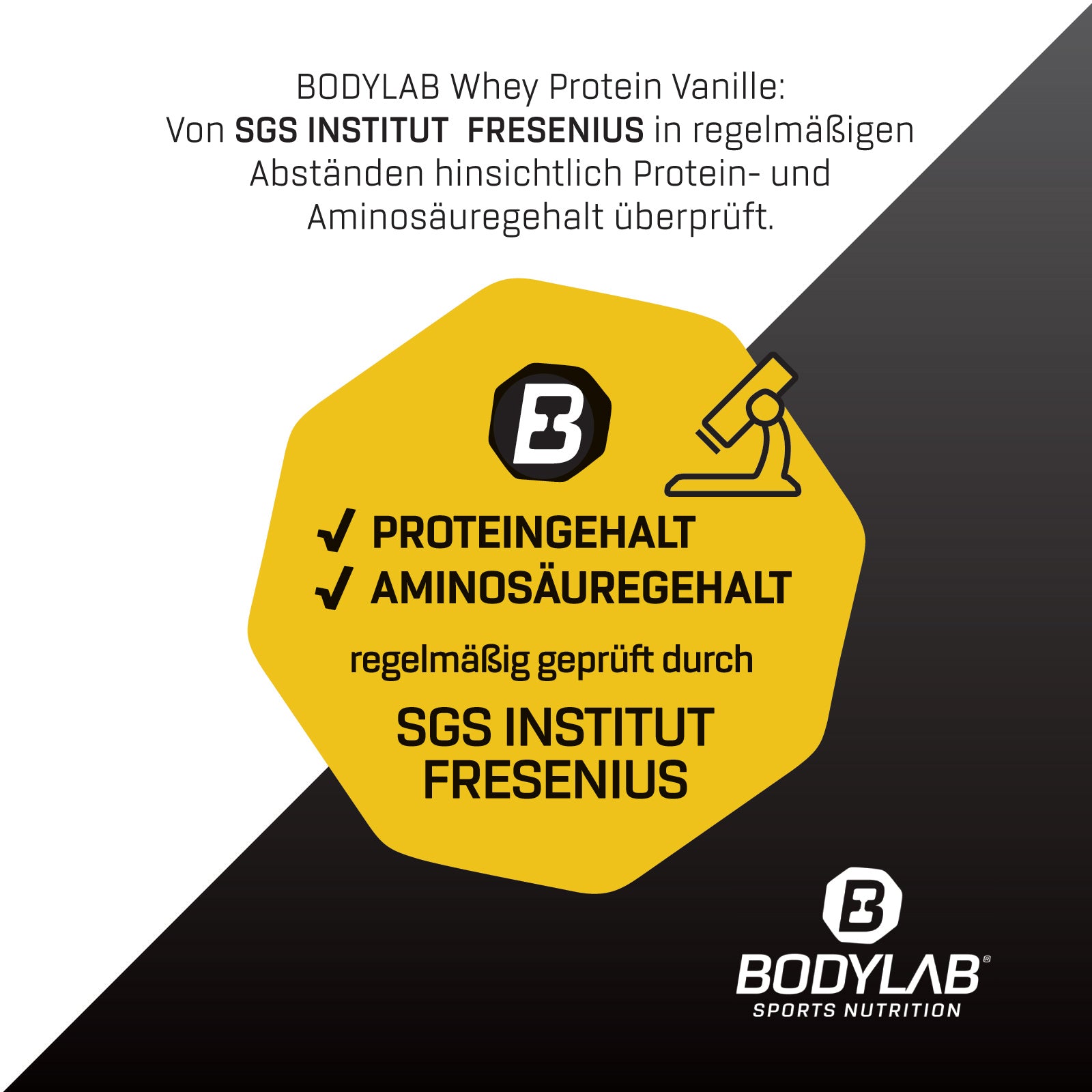 Whey Protein (2000g) Vanilla
