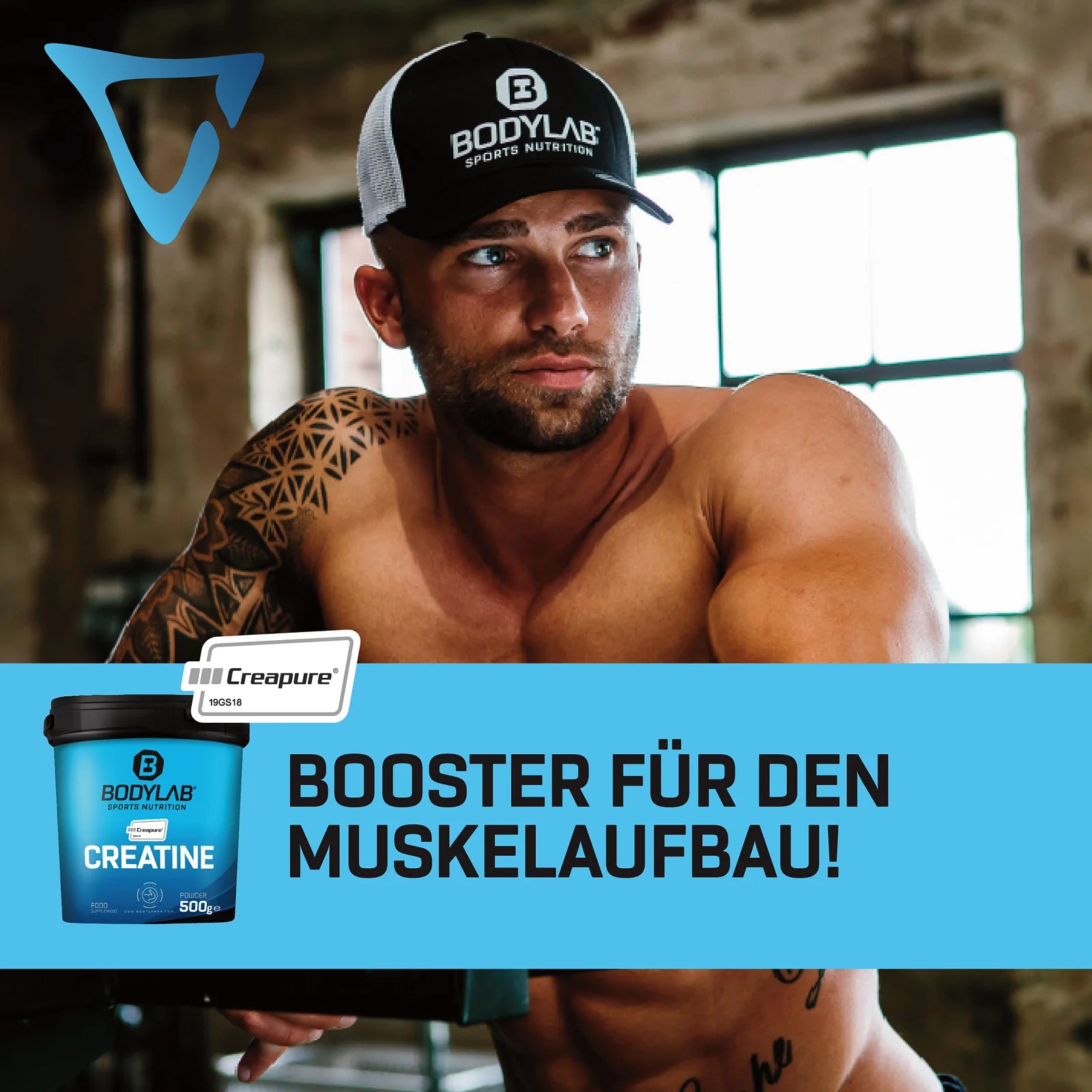 3x Creatine (Creapure®) (3x500g)
