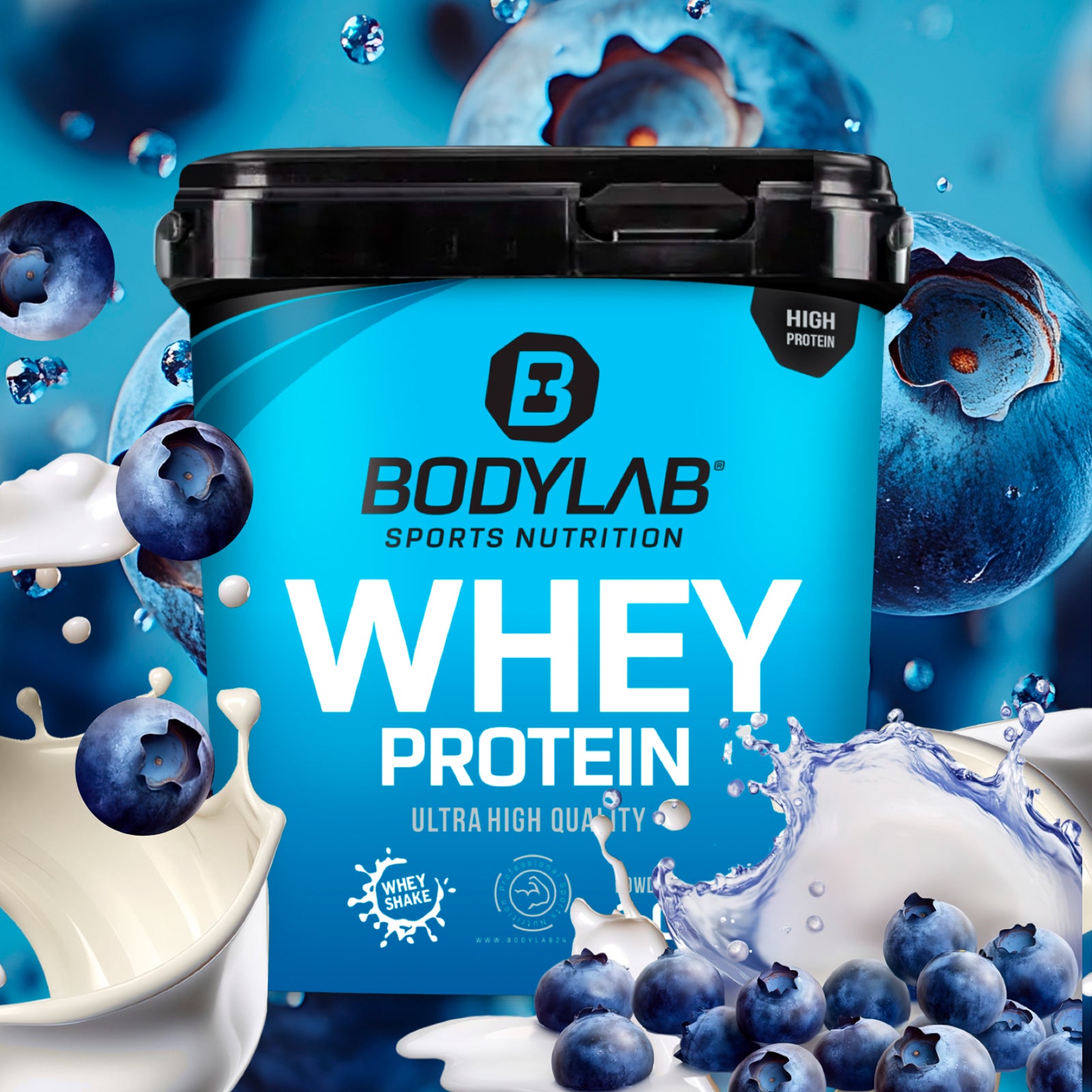 Whey Protein (2000g)