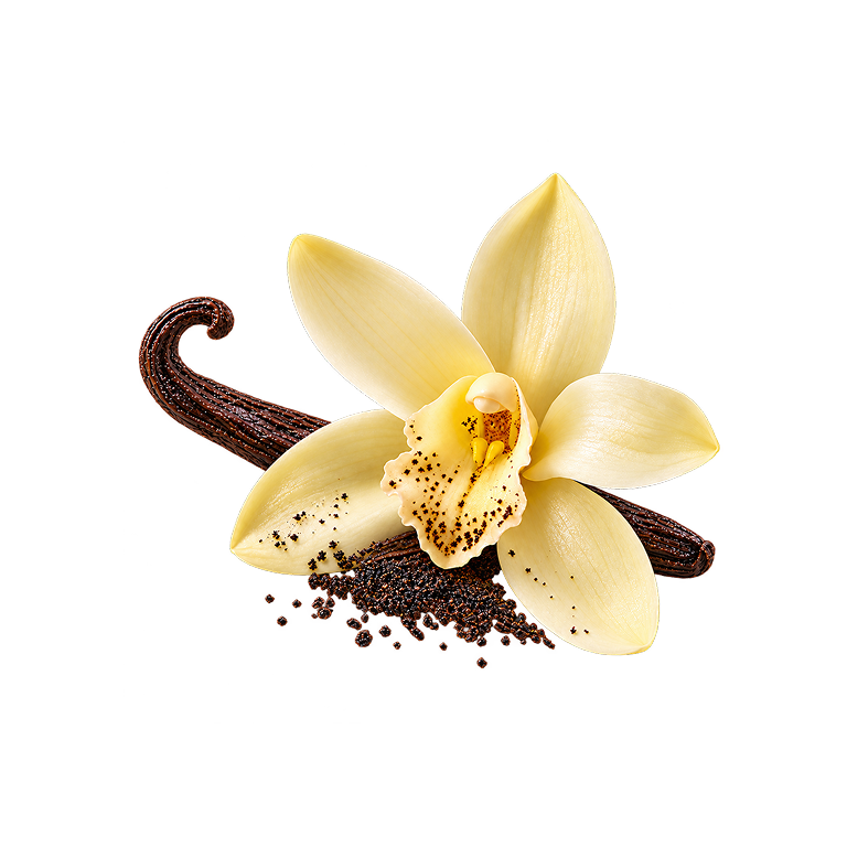 Bourbon Vanilla