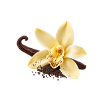 Bourbon Vanilla
