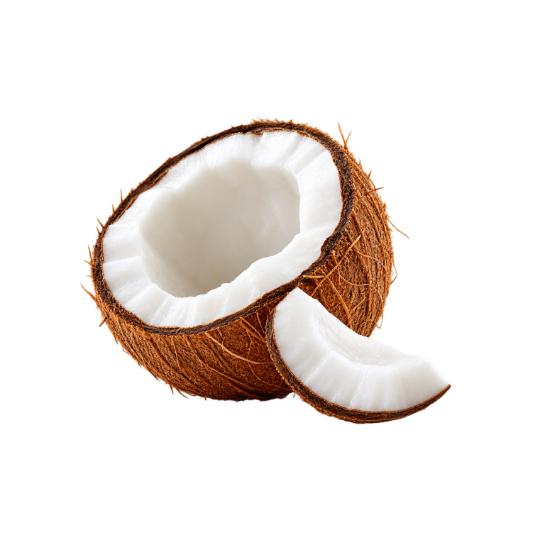 Coconut