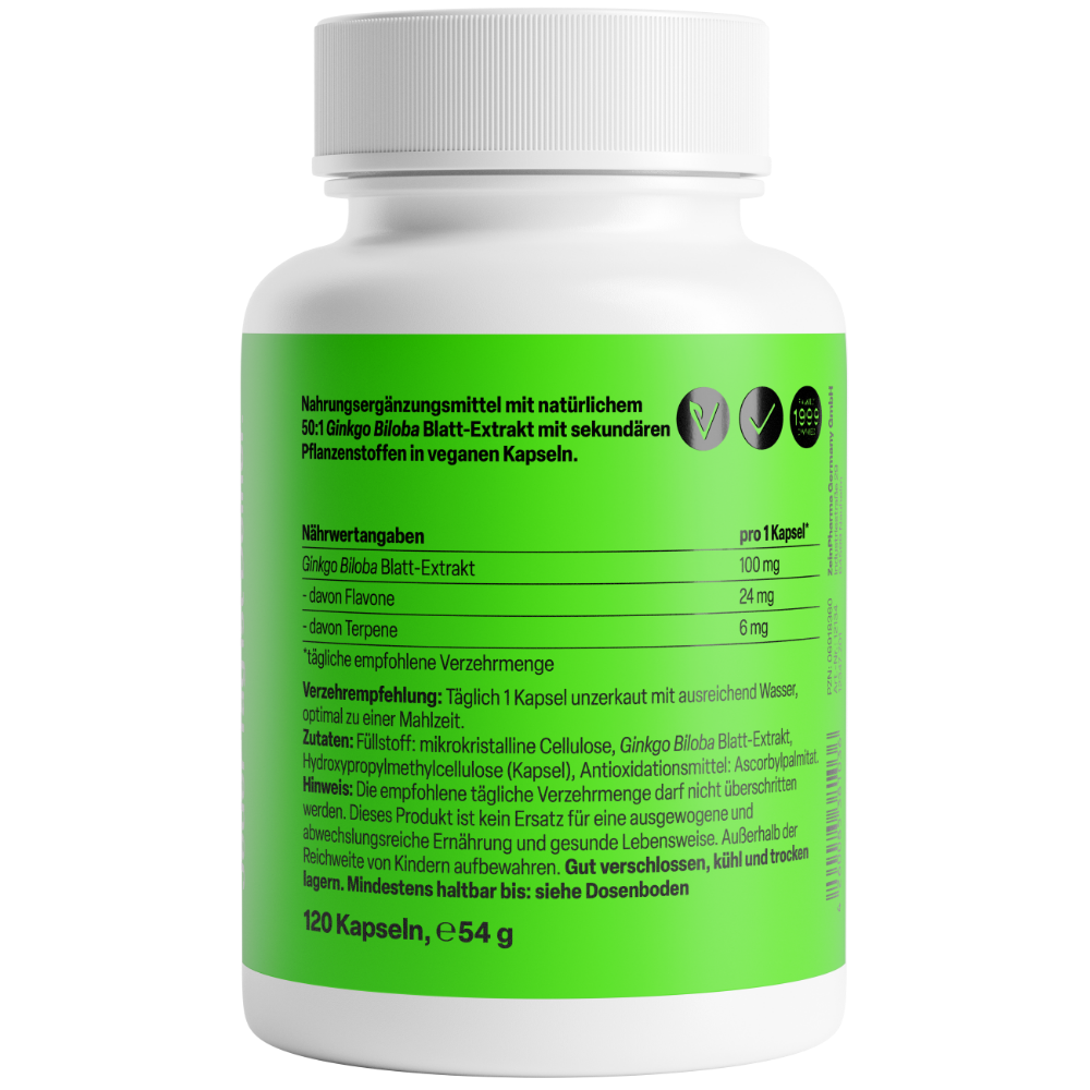 Ginkgo Biloba 100mg (120 capsules)