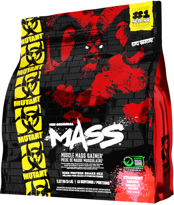 Mutant Mass (2200g) Chocolate-Fudge Brownie